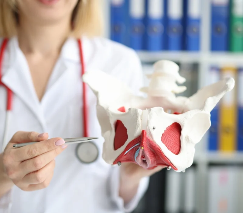 Untitleddesign2-ezgif.com-optiwebp